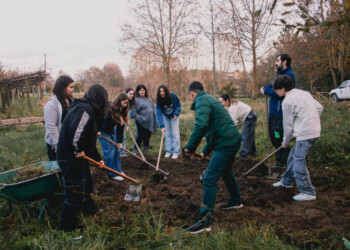 Lousada alcança criação de 50 charcos para a vida selvagem