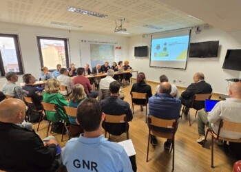 Loulé registou menos de seis hectares de área ardida em 2024