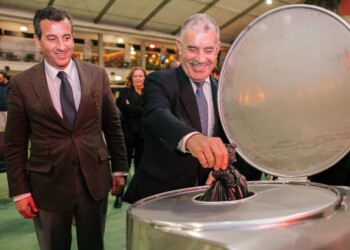 Cascais lança novo sistema de recolha para óleos alimentares usados