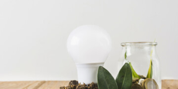 Swappie releva 4 tendências que vão definir a green tech em 2025