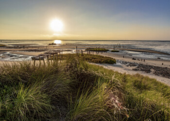 ZERO considera inaceitáveis as áreas de Reserva Ecológica Nacional onde se poderá construir