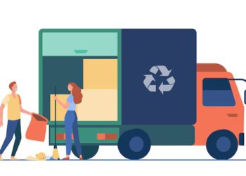 Câmara de Estarreja faz recolha gratuita de monos