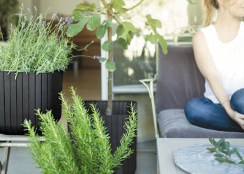 Tetra Pak e Keter lançam vasos feitos a partir da reciclagem de embalagens de cartão