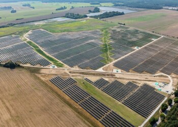 Lightsource bp assina 10 contratos PPA em 2024 num total de 1,3GW