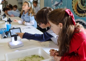 Semana da Sustentabilidade Ambiental promovida pela Câmara de Paredes de 17 a 21 de fevereiro