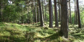 Câmara de Aljezur tem duas candidaturas ao Fundo Ambiental aprovadas