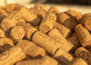 IPC obtém concessão de patente europeia para tecnologia de tratamento de efluentes líquidos gerados na produção de rolhas de cortiça