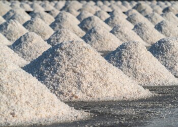 Projeto Sal C: a valorização das salinas para o sequestro de carbono