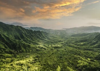 Schneider Electric supera metas de sustentabilidade para 2024