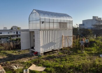 EDP Energia Solidária: Projeto-piloto Super Horta quer ser “totalmente sustentável e amigo do ambiente”