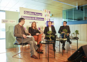 Economia de Biometano: “há potencial e interesse do setor agrícola”
