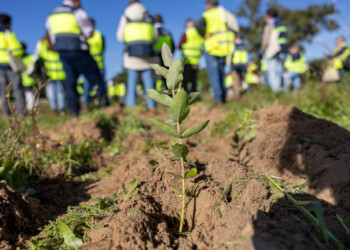 Agenda transForm apresenta 11 novos produtos e serviços no setor florestal português
