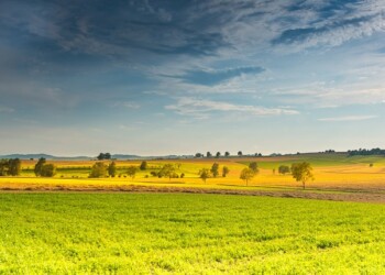 AJAP apela ao reforço contínuo no apoio aos Jovens Agricultores