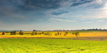 AJAP apela ao reforço contínuo no apoio aos Jovens Agricultores
