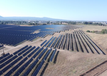 BNZ assina PPA internacional com a Kimberly- Clark em Itália e Espanha