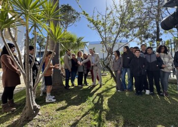 Infralobo promove iniciativa de plantação de árvores em celebração do Dia da Árvore