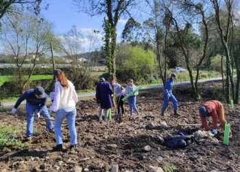 Fábrica de conservas A Poveira reforça compromisso com sustentabilidade