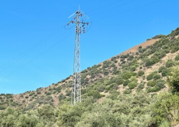 E-REDES: Economia circular, biodiversidade e avaliação ambiental são as prioridades para 2025