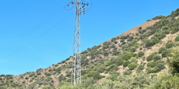 E-REDES: Economia circular, biodiversidade e avaliação ambiental são as prioridades para 2025