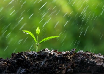 Infralobo arranca com campanha de sensibilização “Se chover, não regue”