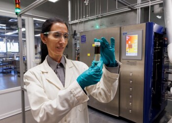 Abertas as candidaturas para o programa de startups Moeve Light Up