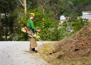 Vitrus defende floresta com limpeza de 300 ha de caminhos rurais em Guimarães