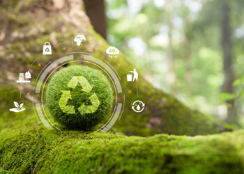 Lisboa abre candidaturas para novo programa de Economia Circular