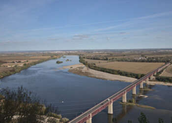 WWF Portugal lança Guia de Boas Práticas para Agricultores da Lezíria do Tejo