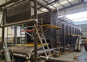 BENEO e Energest em parceria para maximizar eficiência energética e a produção a vapor