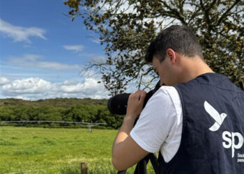 Rede Nacional de Santuários para Aves recebeu mais de 90 candidaturas – 46 já estão a avançar
