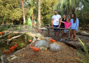 Zoomarine e IUCN criam primeiro centro focado na mudança comportamental para conservação em Portugal