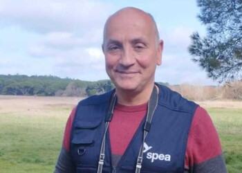 Opinião: Conservar a biodiversidade pelas próprias mãos