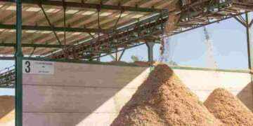 Sonae Arauco valorizou 809 mil toneladas de madeira em 2024