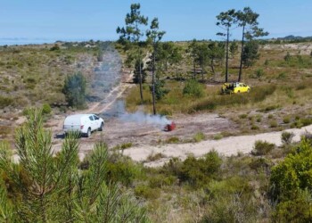 Politécnico de Leiria desenvolve sistema de prevenção de incêndios florestais com uso de drones, gémeos digitais e boids