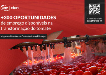 Clan tem mais de 300 oportunidades de emprego para Castanheira do Ribatejo e Marateca