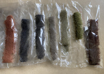 Universidade de Aveiro lidera projeto de restauração de recifes de ostras com apoio do MAR2030