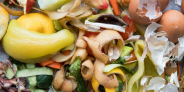 Biorresíduos: “Para que as pessoas queiram fazer parte é fundamental criar sistemas cómodos”