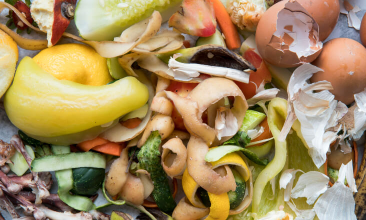 ERSAR: Portugal está longe de cumprir metas na recolha seletiva de biorresíduos