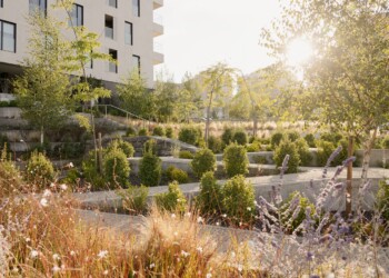 Especialistas preparam estratégia urbanística para adaptar Lisboa às alterações climáticas