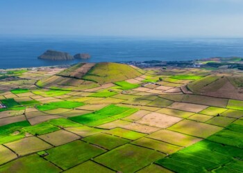 Universidade Católica e Universidade dos Açores lançam Pós-Graduação em Gestão Sustentável