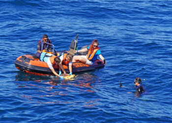 Zoomarine devolve mais uma tartaruga marinha ao seu habitat natural