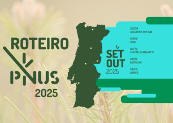 Roteiro PINUS 2025 decorre de setembro a outubro com programação diversificada
