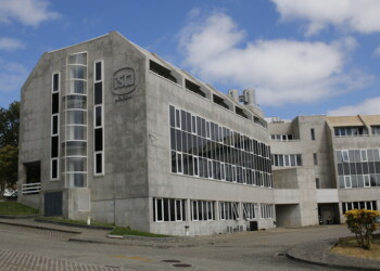 ISQ e Universidade Católica lançam curso gratuito de sustentabilidade nas empresas