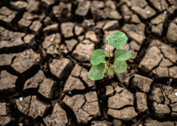O que muda agora na Lei Europeia do Clima?