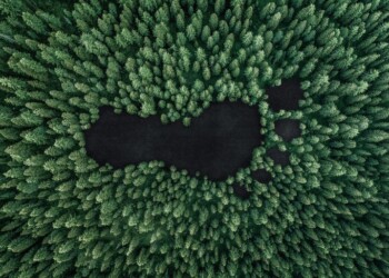 Recursos naturais: A valorização, os limites e os riscos