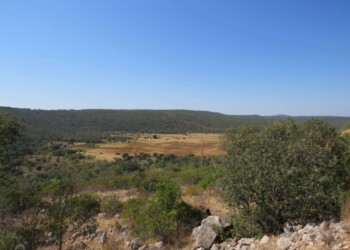 Propostas de zonas protegidas na Nave do Barão e Gruta de Vale Telheiro abertas a discussão pública até 16 de setembro
