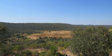 Propostas de zonas protegidas na Nave do Barão e Gruta de Vale Telheiro abertas a discussão pública até 16 de setembro