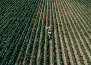 Agroglobal com… Quinta da Alorna