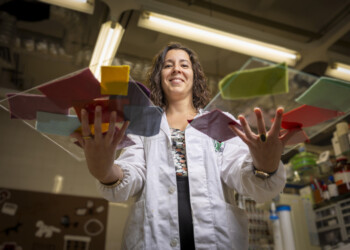 Investigadora da NOVA FCT recebe Bolsa ERC para recuperar técnicas de tingimento têxtil