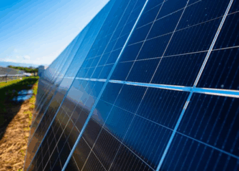 EDP irá fornecer energia renovável ao McDonald’s no Brasil